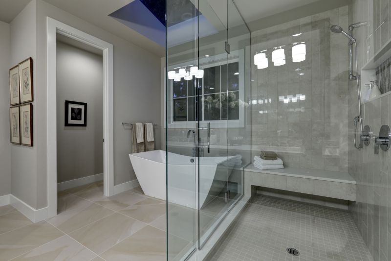 Stylish Tub to Shower Conversion